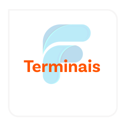 Terminais